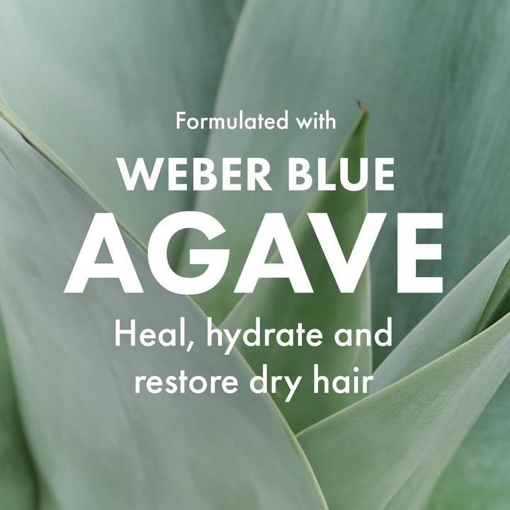 250 ml bottle of sulphate-free agave smoothing shampoo for Unisex use