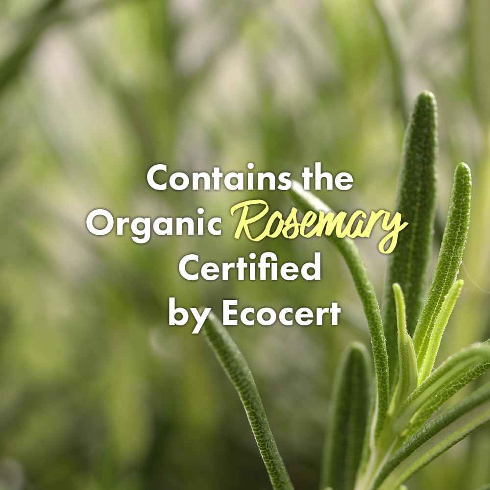 50 ml clarifying rosemary scalp cleanser in a pump bottle, botanical ingredient callouts